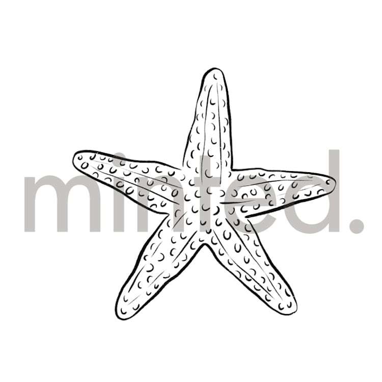 "Starfish" - Design Element in Shell by Shiny Penny Studio - Front