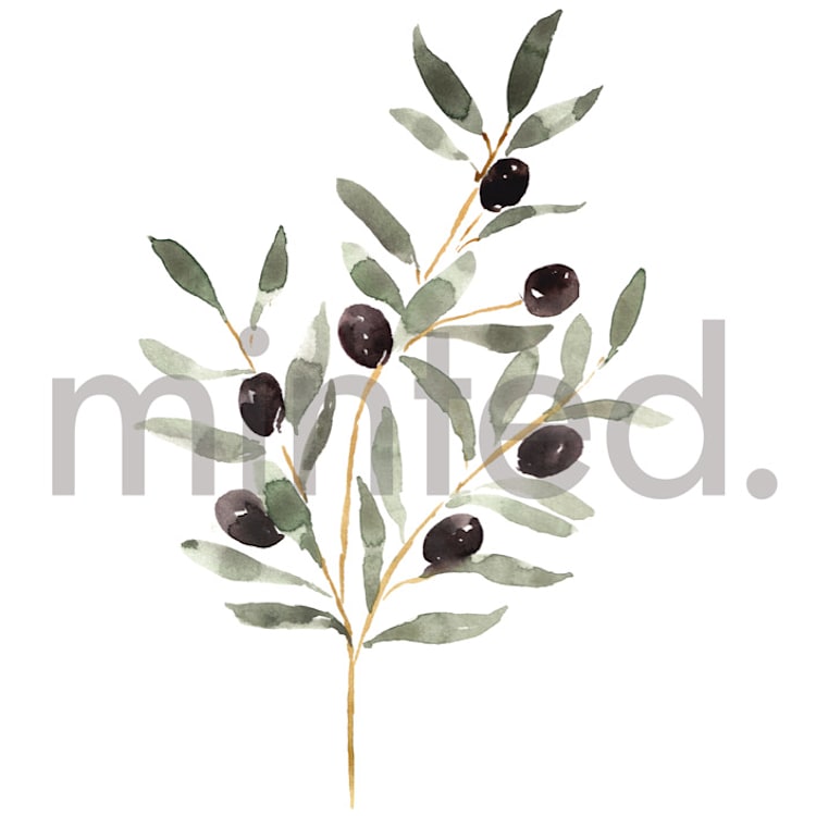 "Olive Branch" - Design Element in white by Itsy Belle Studio - Front