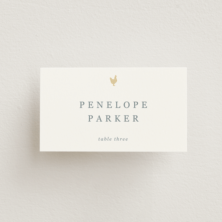 "Noted" - Foil-Pressed Place Cards - Chicken in Ivory by Sierra Lee - Front