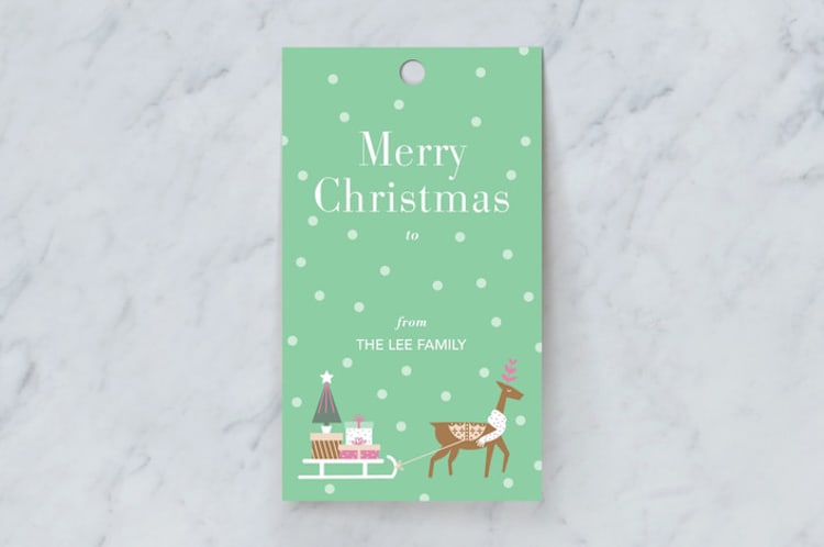 "Christmas Delivery" - Gift Tags in Mint by Chi Hey Lee - Front