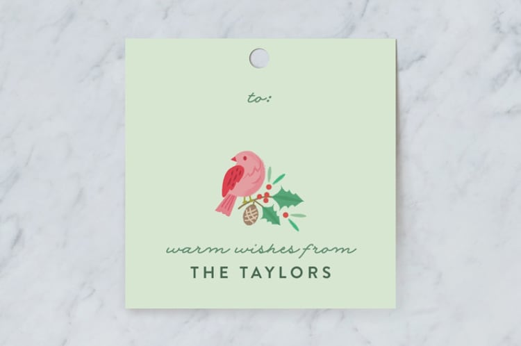 "Festive Winter Birds" - Gift Tags in Mint by curiouszhi - Front