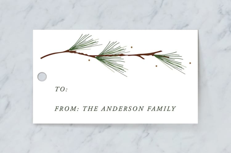"Classic Tag" - Gift Tags in Forest by Susan Brown - Front