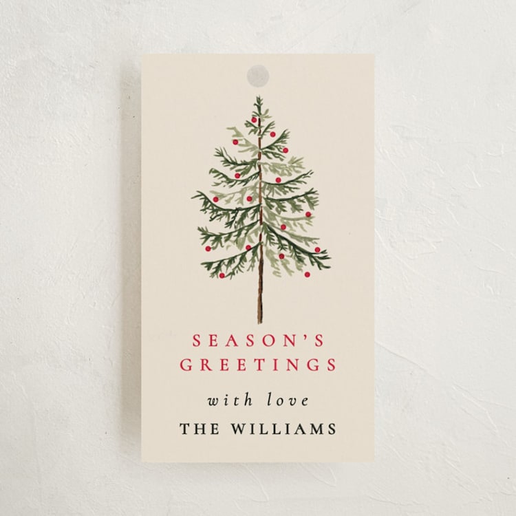 Vintage Spruce by Amy Kross