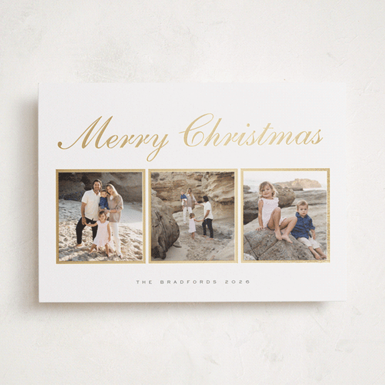 "Classic Trio" - Holiday Cards in Snow by Nicole Walsh - Front