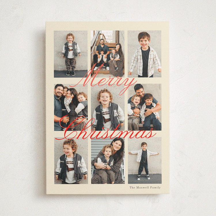 "Season Snapshot" - Holiday Cards in Champagne by Baumbirdy - Front