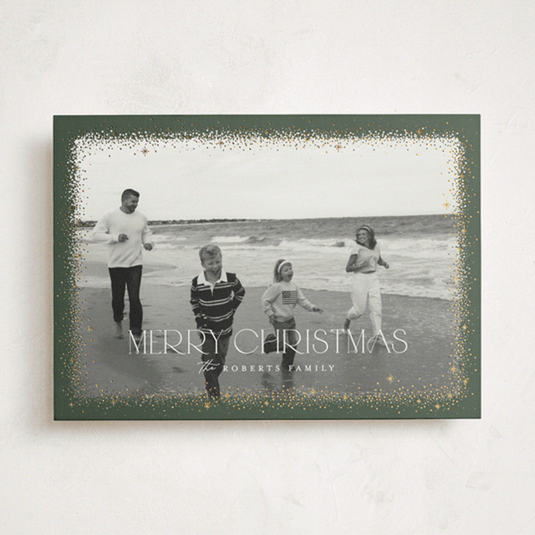 "Twinkle Twinkle" - Holiday Cards in Foliage by Pixel and Hank - Front