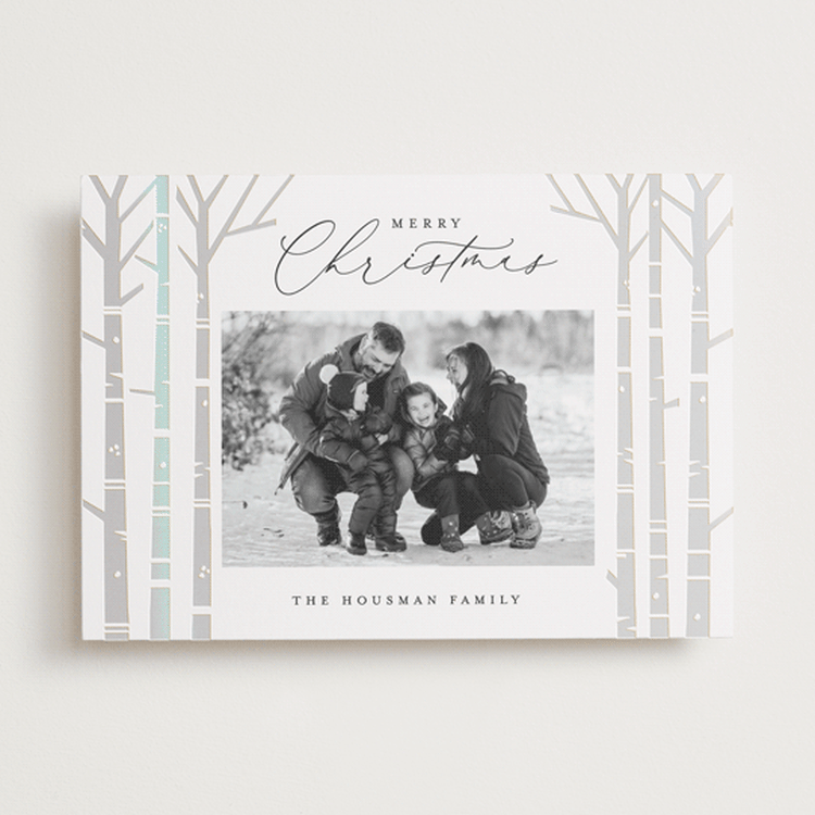 "Birch Trees" - Holiday Cards in Snow by Brooke Chandler - Front
