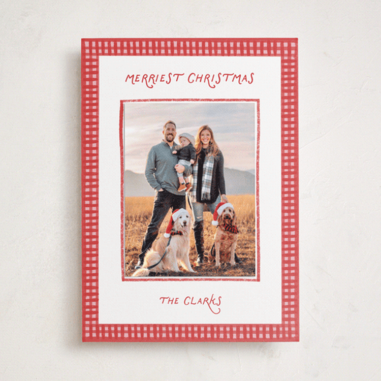 "Picnic" - Holiday Photo Mount Cards in Peppermint by Olivia Williams - Front