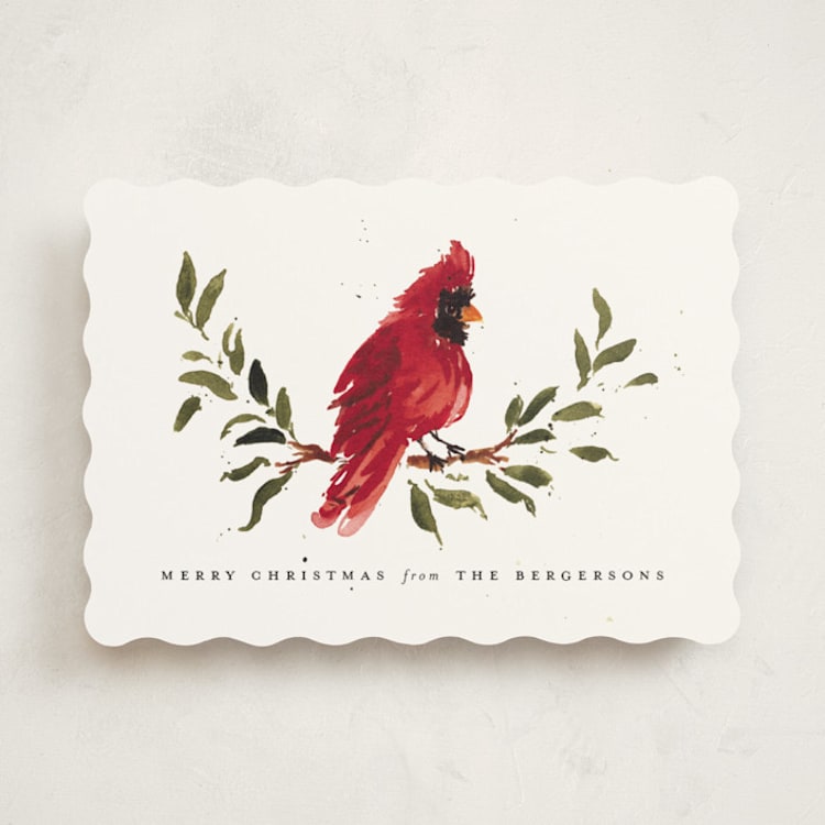 "Winter Branch" - Holiday Cards in Snow by Itsy Belle Studio - Front