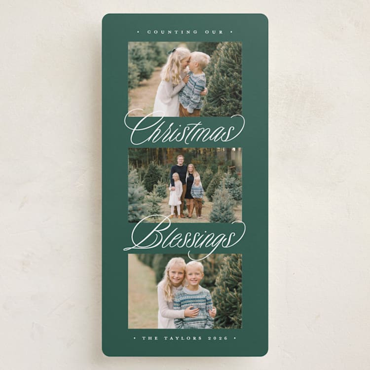 "Christmas Trio" - Holiday Cards in Winter Pine by Erica Krystek - Front