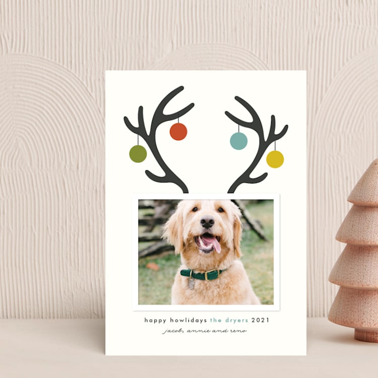 "Happy Howlidays" - Holiday Cards in Frost by Lisa Cersovsky - Front