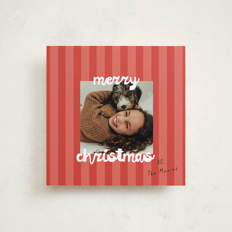 "Wags & Wonder" - Holiday Cards in Cranberry by Christie Garcia - Front