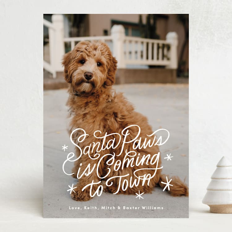"Santa Paws is Coming to Town" - Holiday Cards in Snow by Becky Nimoy - Front