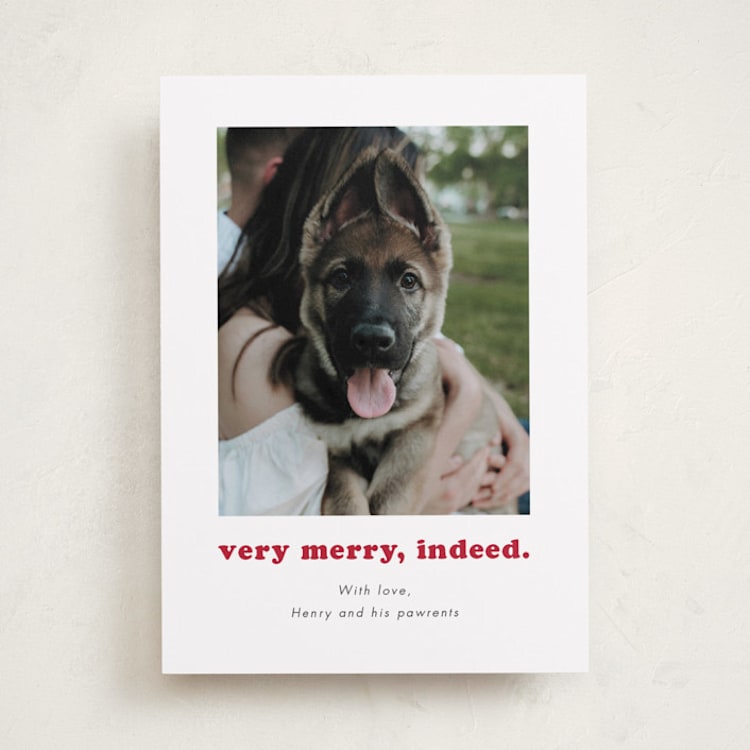 "Indeed" - Holiday Cards in Peppermint by Kristen Knechtel - Front