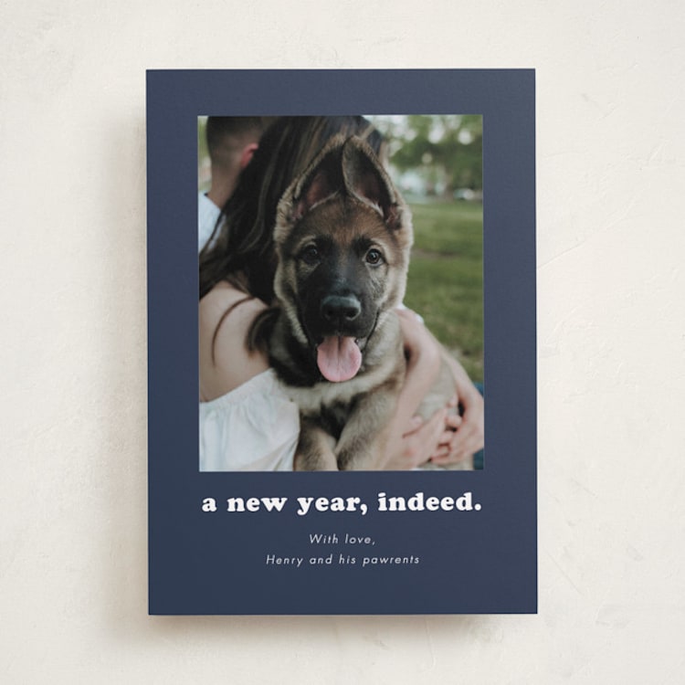 "Indeed" - Holiday Cards in Midnight by Kristen Knechtel - Front