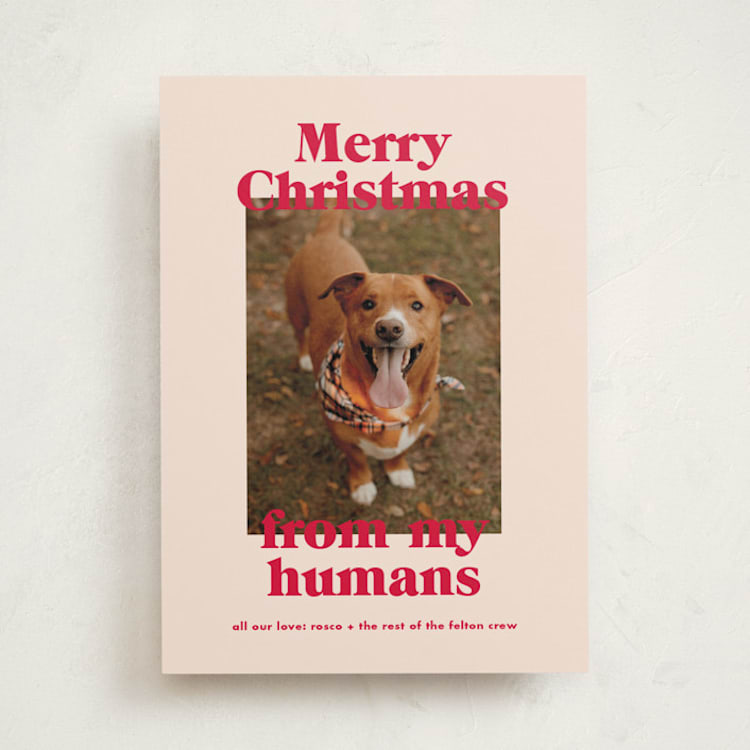 "Happy Howlidays" - Holiday Cards in Cherry by Annie Clark - Front