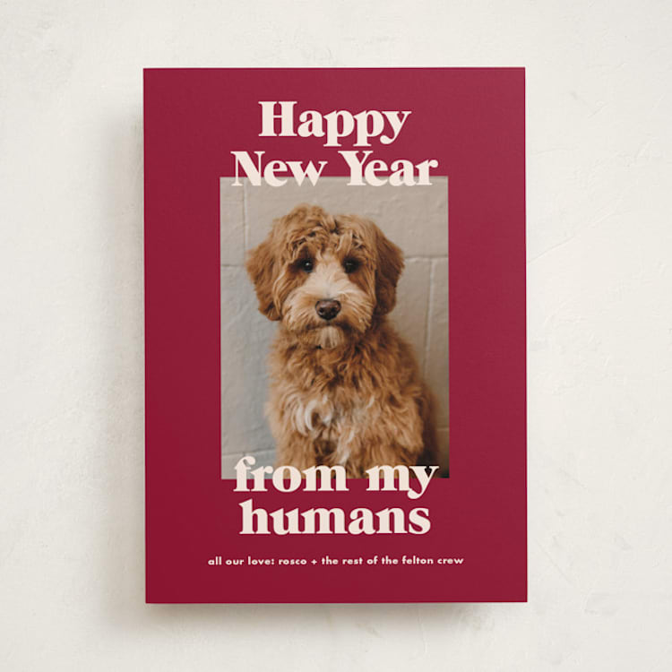 Happy Howlidays by Annie Clark