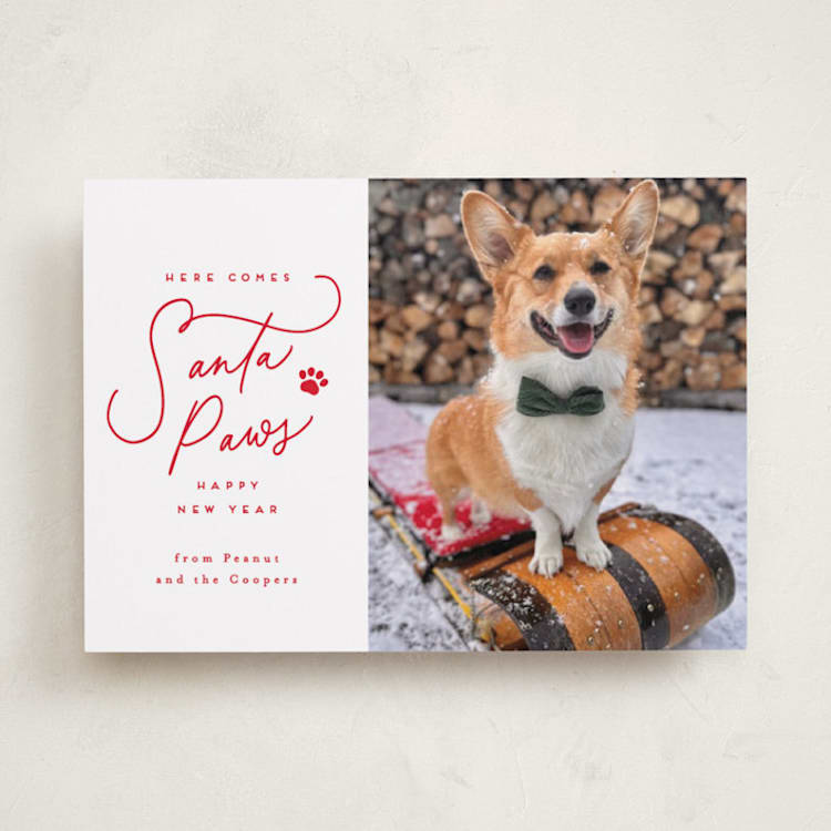 Here Comes Santa Paws by Everett Paper Goods