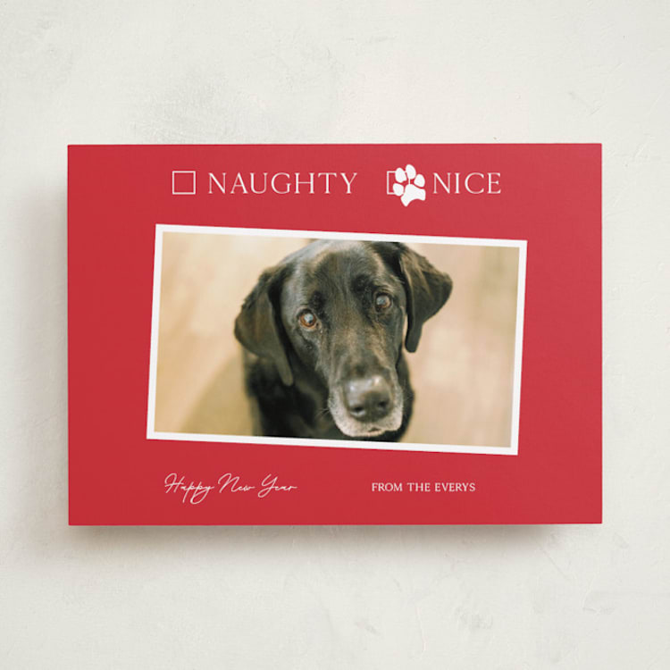 "Nice pup" - Holiday Cards in Poinsettia by Kat Roberts - Front
