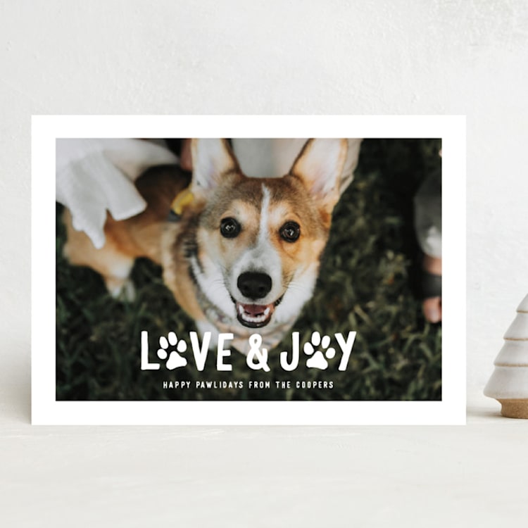 "Puppy Love and Joy" - Holiday Cards in Snow by Hooray Creative - Front