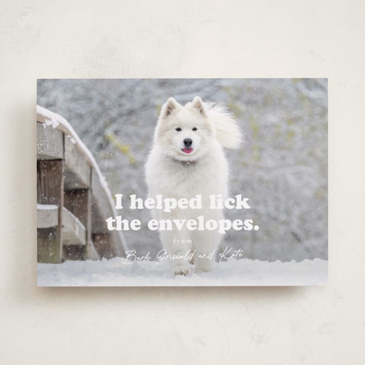 "Helping" - Holiday Cards in Bone by Hudson meet Rose - Front
