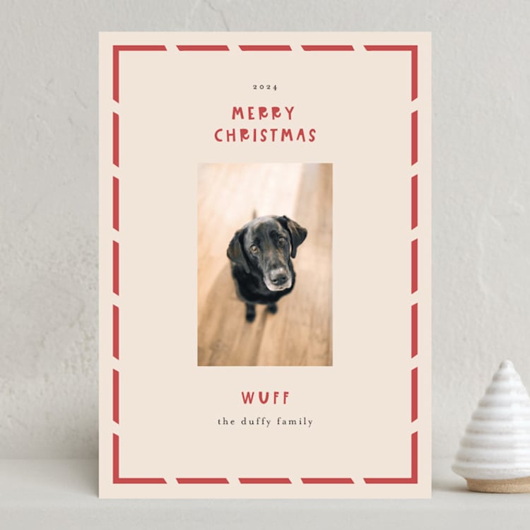 "Wuff" - Holiday Cards in Holly by Anne Ciotola - Front
