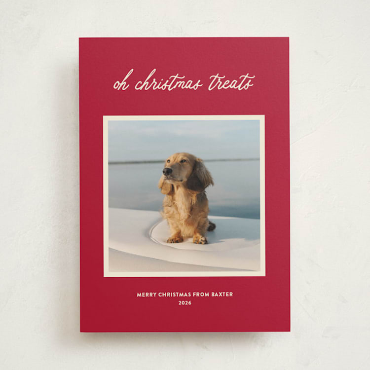 "Christmas Treats" - Holiday Cards in Red Chew Toy by Sarah Hawkins Designs - Front