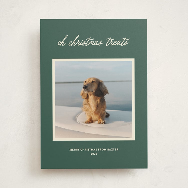 "Christmas Treats" - Holiday Cards in Grass by Sarah Hawkins Designs - Front