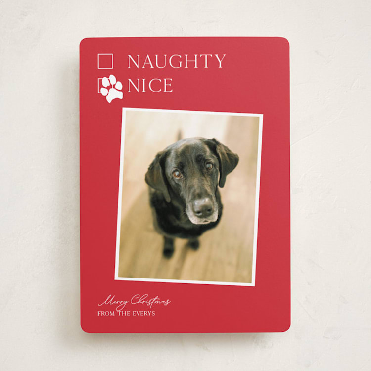 "Nice pup" - Holiday Cards in Poinsettia by Kat Roberts - Front