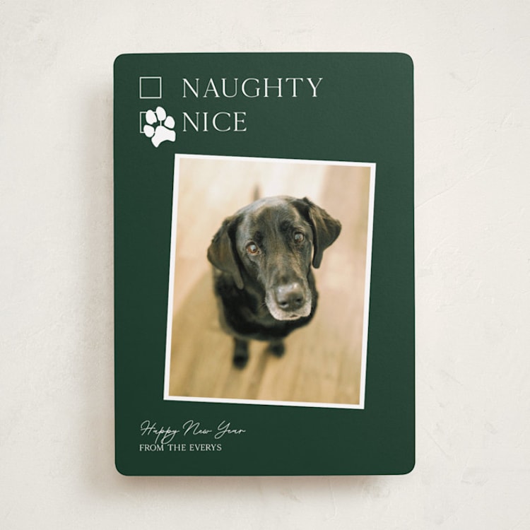 Nice pup by Kat Roberts