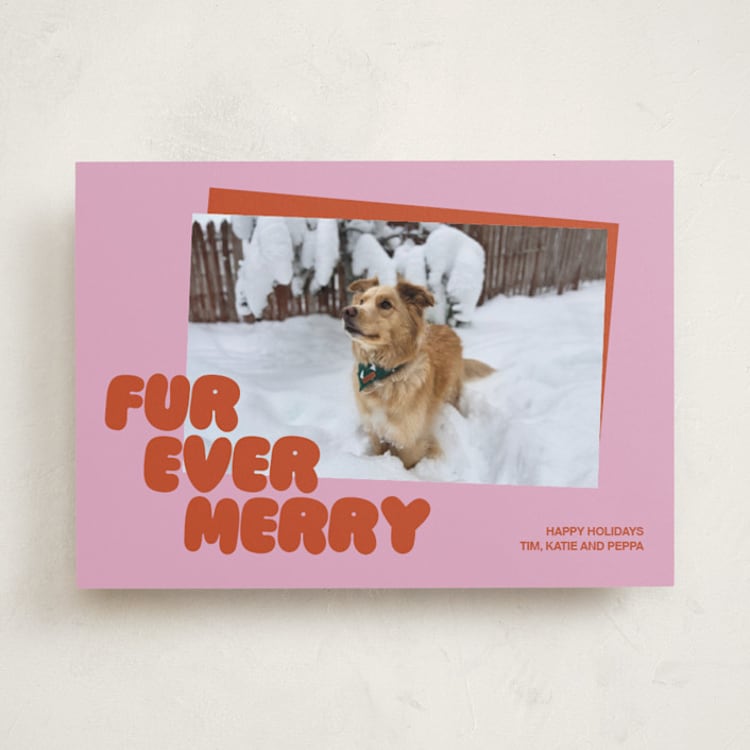 "Furever" - Holiday Cards in Berry by Inkblot Design - Front