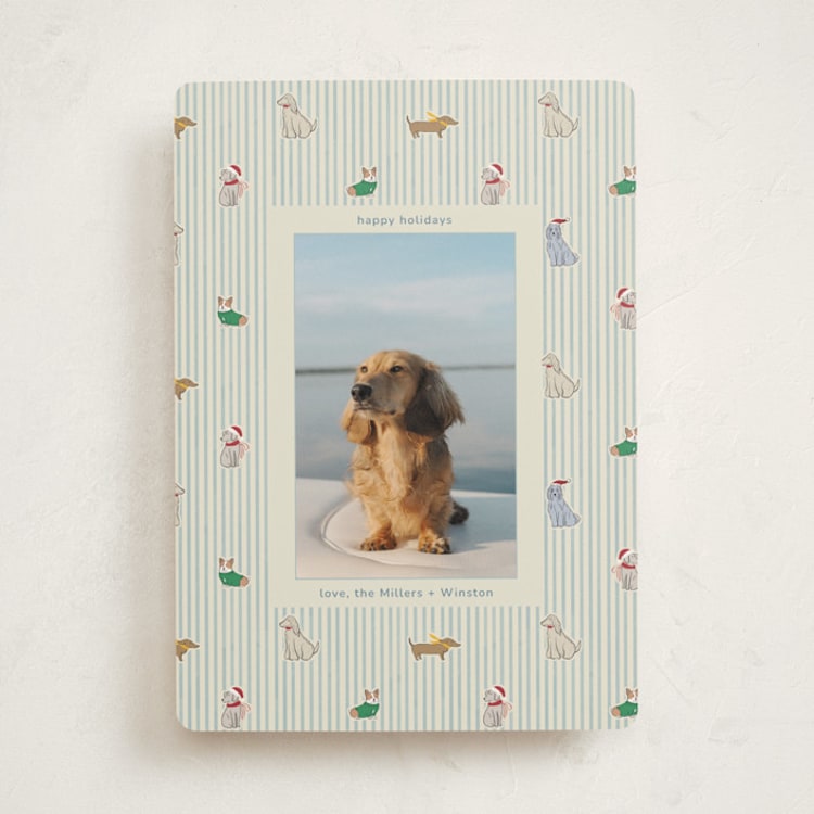 "Paws & Pinstripes" - Holiday Cards in Frost by Daisyworks Studio - Front