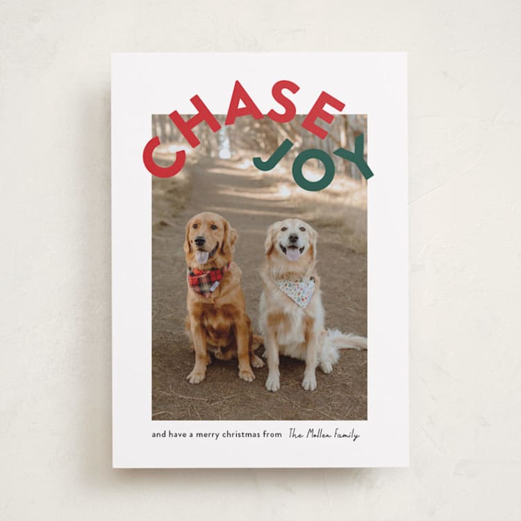 "Chase Joy" - Holiday Cards in Holly by Angela Garrick - Front