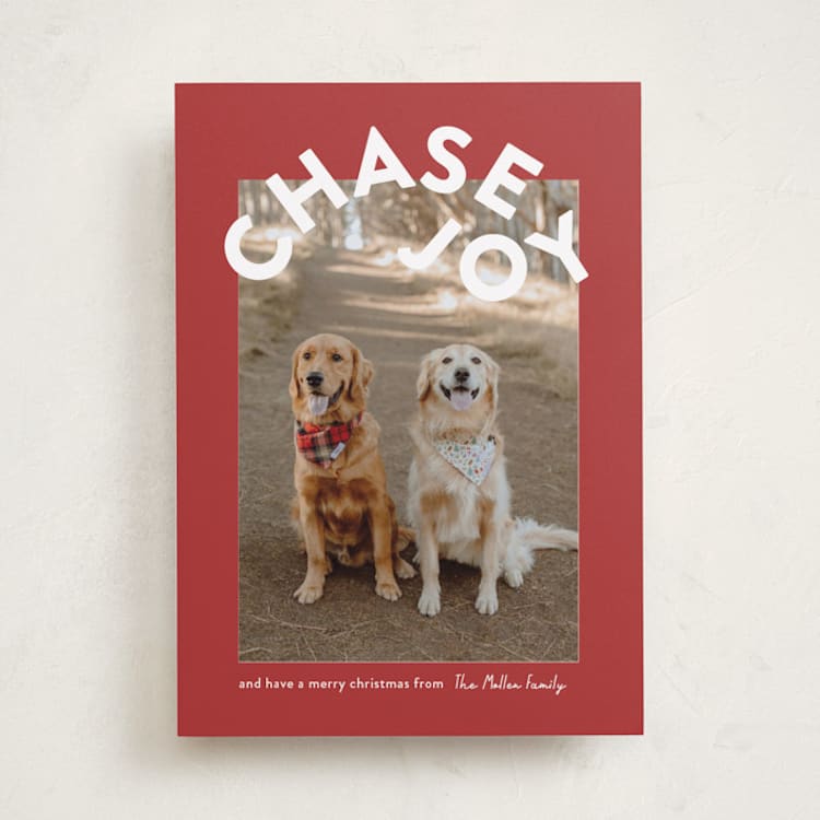 "Chase Joy" - Holiday Cards in Cranberry by Angela Garrick - Front
