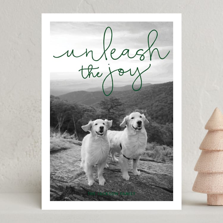 "Unleash the Joy" - Holiday Cards in Pine by Sandra Picco Design - Front