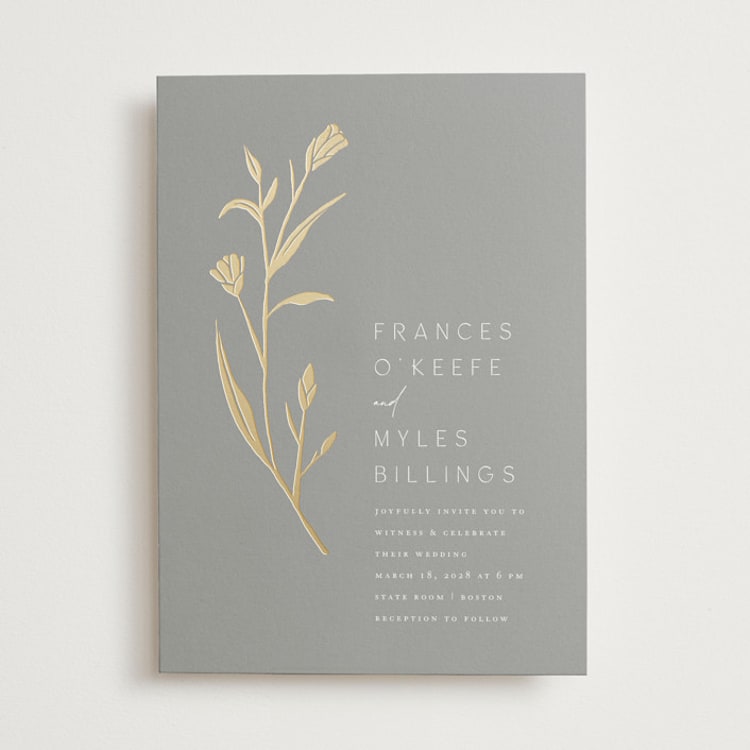 Perennial by Amy Kross