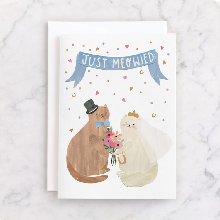 "Just Meowied" - Single Greeting Cards in Powder by Sarah Knight - Front