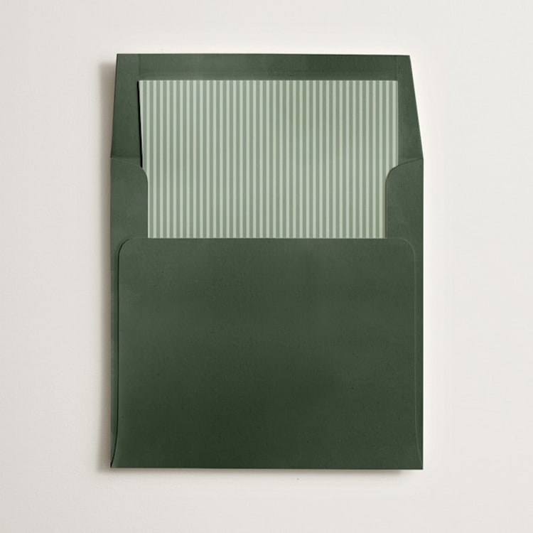 "Pinstripe" - Slip-In Envelope Liners in Sage by Olivia Kanaley Inman - Liner in envelope