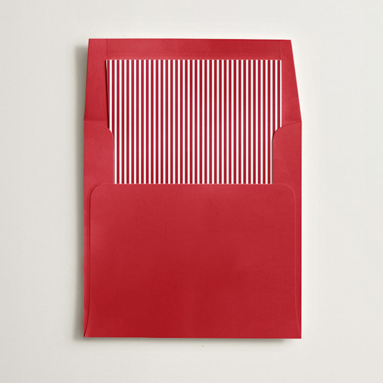 "Pinstripe" - Slip-In Envelope Liners in Pinstripe by Olivia Kanaley Inman - Liner in envelope