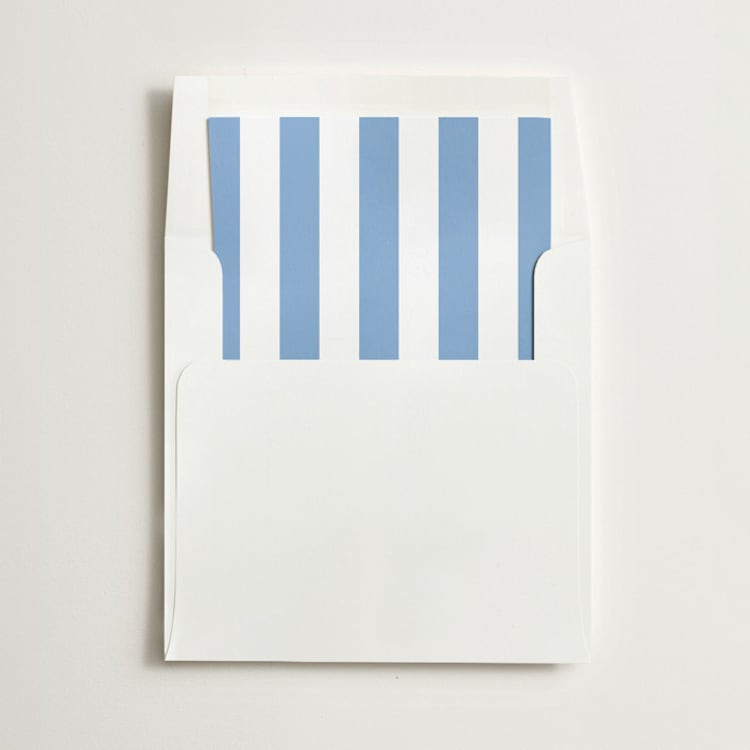 "Cabana Stripe" - Slip-In Envelope Liners in Frost by Minted - Liner in envelope