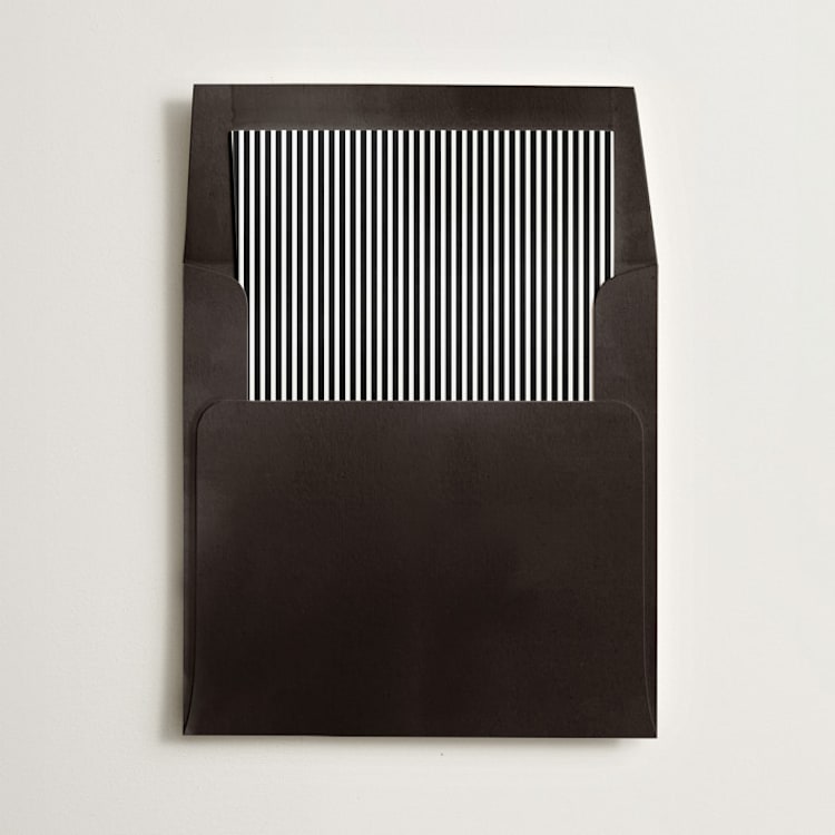 "Pinstripe" - Slip-In Envelope Liners in Noir by Olivia Kanaley Inman - Liner in envelope