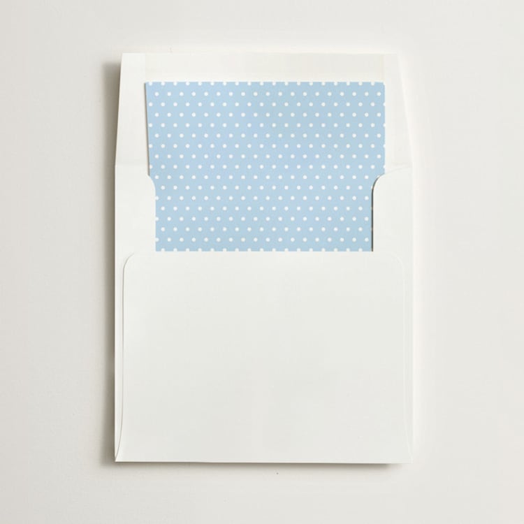 "Polka Dot" - Slip-In Envelope Liners in Sky by Minted - Liner in envelope
