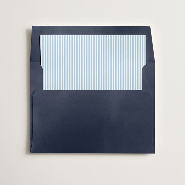 "Pinstripe" - Slip-In Envelope Liners in Sky by Olivia Kanaley Inman - Liner in envelope