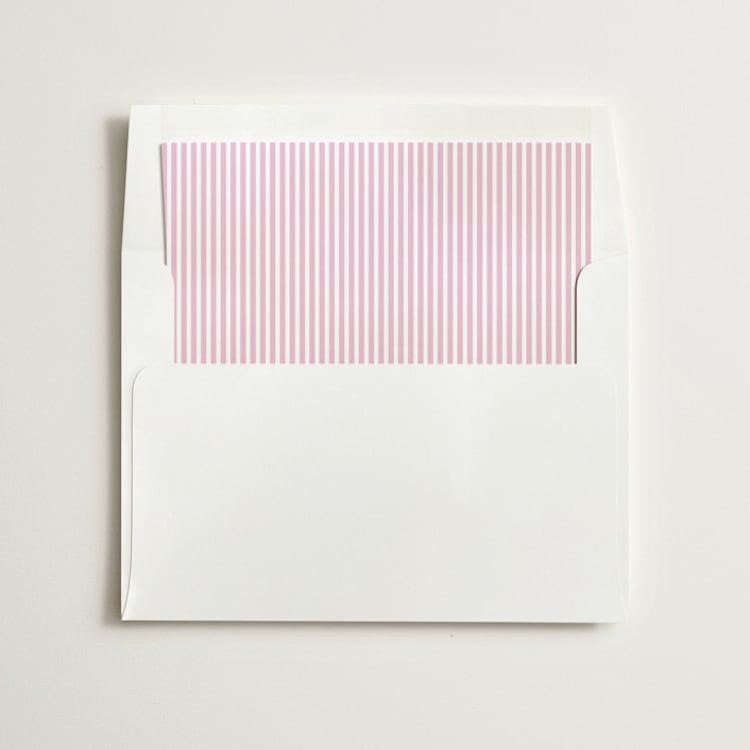 "Pinstripe" - Slip-In Envelope Liners in Blush by Olivia Kanaley Inman - Liner in envelope