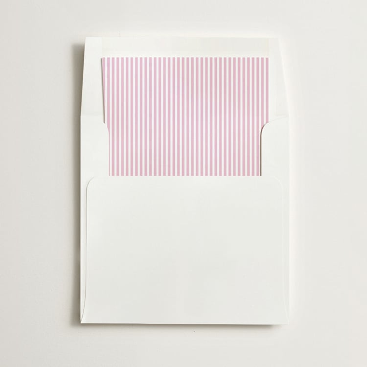 "Pinstripe" - Slip-In Envelope Liners in Blush by Olivia Kanaley Inman - Liner in envelope