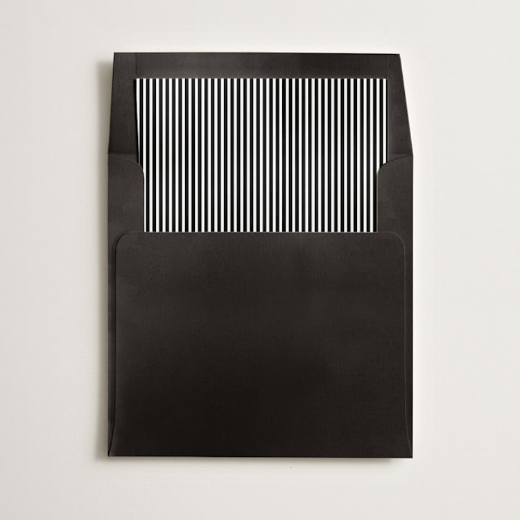 "Pinstripe" - Slip-In Envelope Liners in Noir by Olivia Kanaley Inman - Liner in envelope