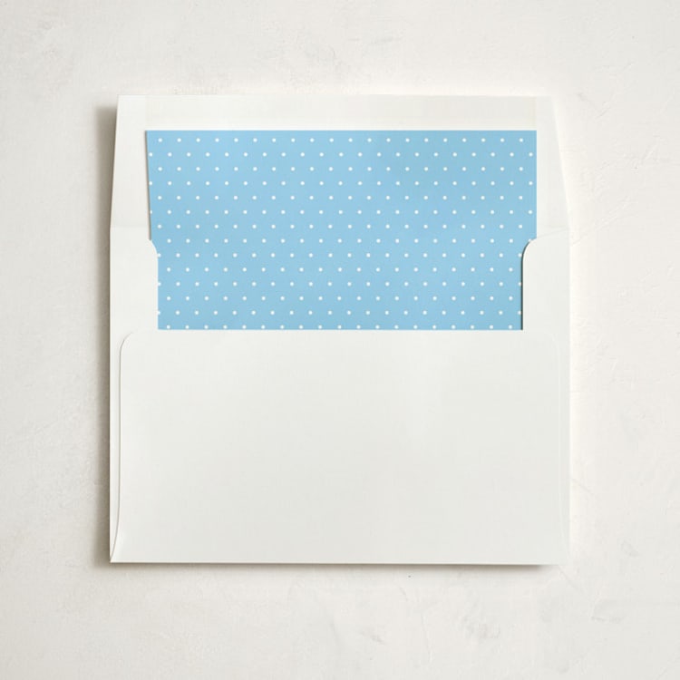 "Chandelier" - Slip-In Envelope Liners in Summer Sky by Splendid Press - Liner in envelope