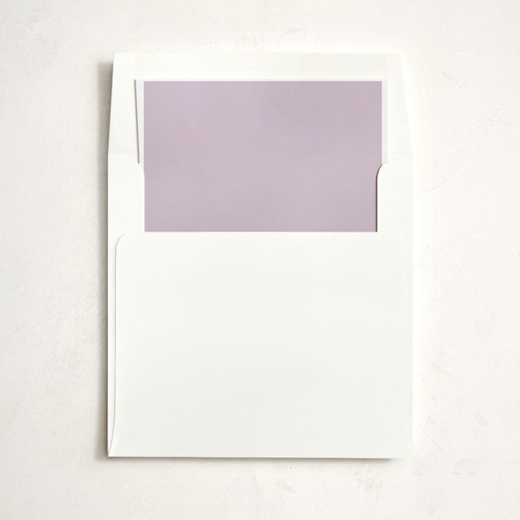 "Swanky Hotel" - Slip-In Envelope Liners in Stone by Splendid Press - Liner in envelope