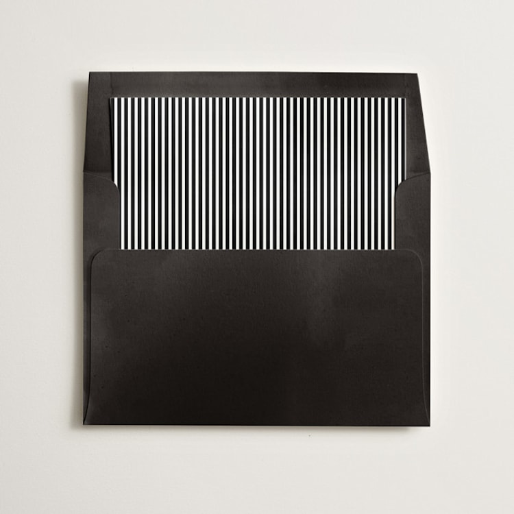 "Pinstripe" - Slip-In Envelope Liners in Noir by Olivia Kanaley Inman - Liner in envelope