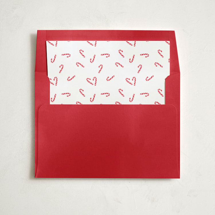 "Cutie Candy Canes" - Slip-In Envelope Liners in Snow by Lauren Chism - Liner in envelope